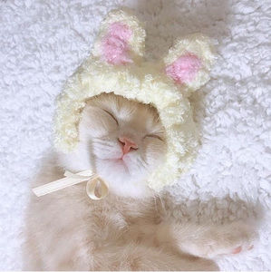 Meet your Posher, Kayleighhh